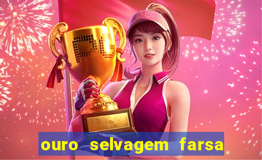 ouro selvagem farsa ouro selvagem o que aconteceu